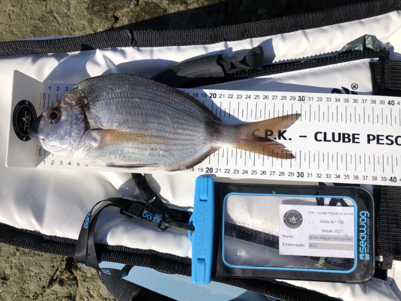 Fish Measure Picture