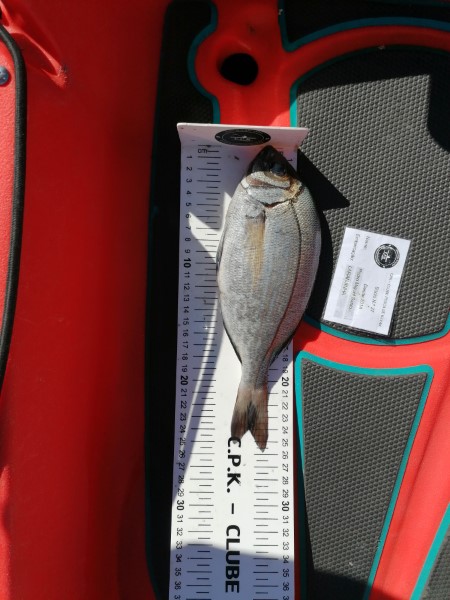 Fish Measure Picture