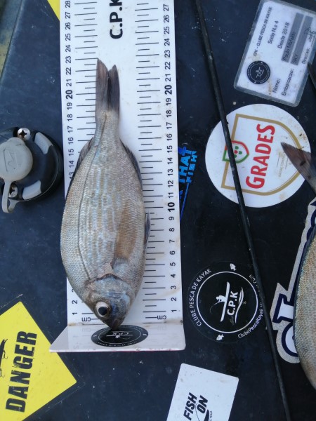Fish Measure Picture