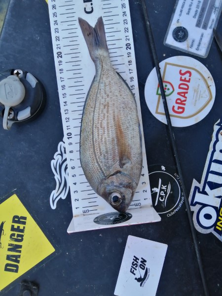 Fish Measure Picture