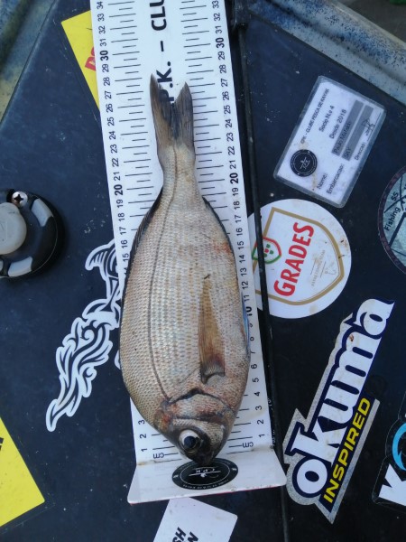 Fish Measure Picture