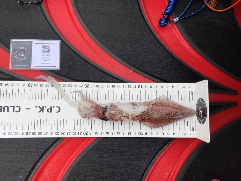Fish Measure Picture
