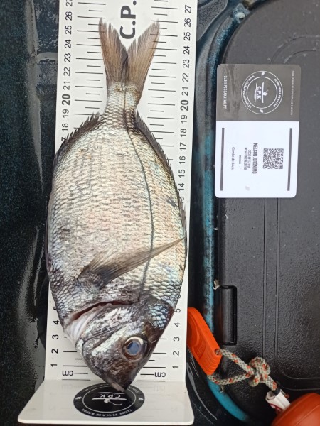Fish Measure Picture
