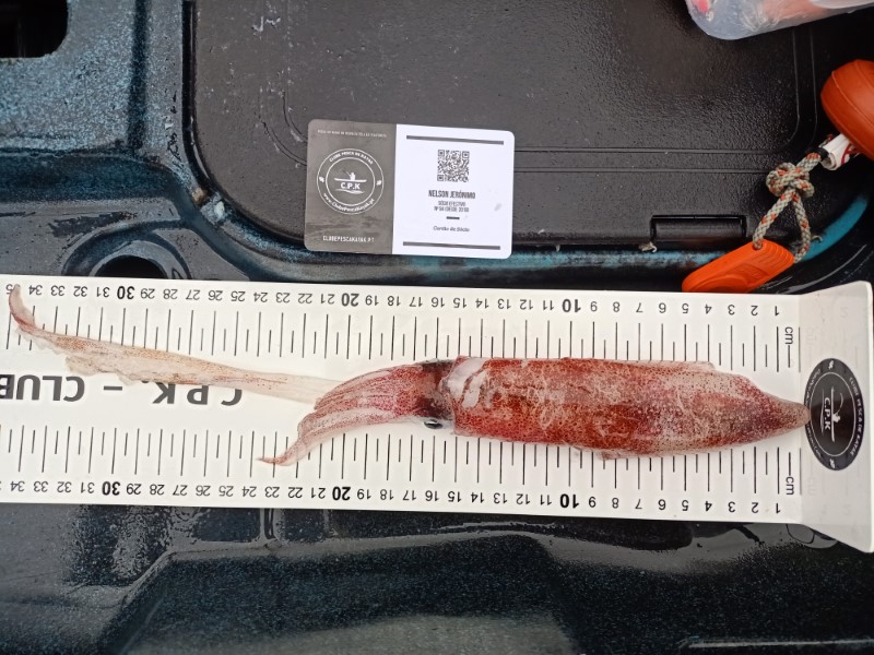 Fish Measure Picture