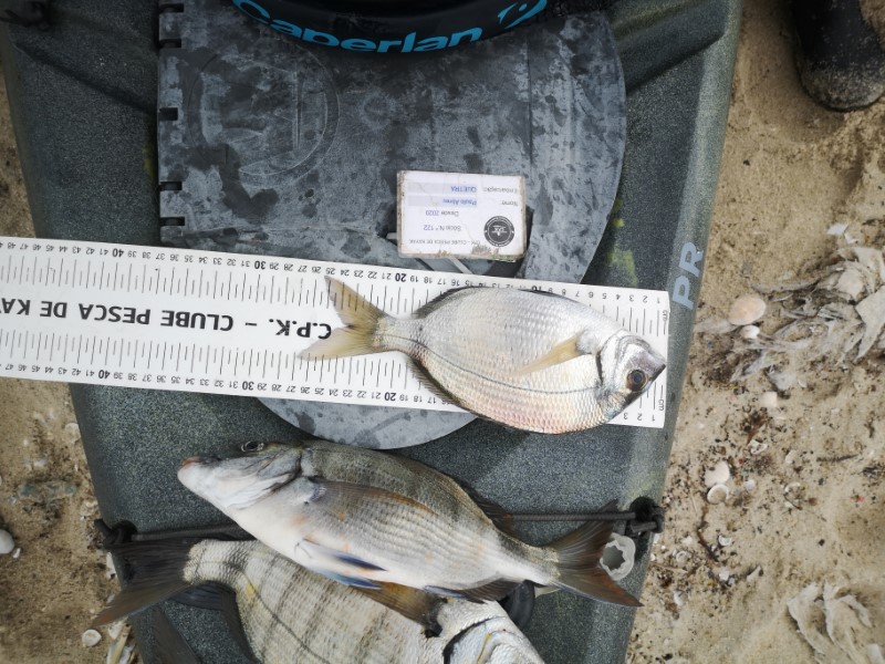Fish Measure Picture