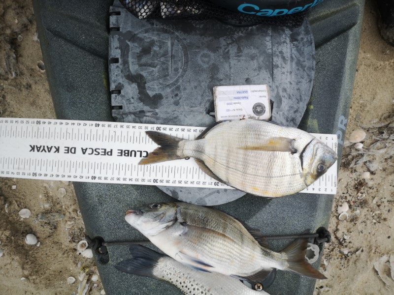 Fish Measure Picture