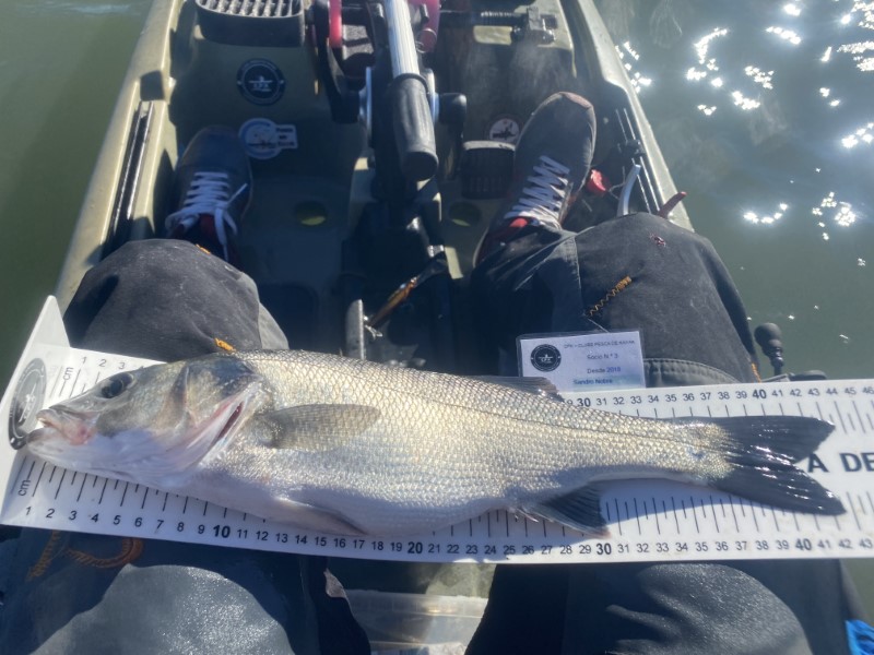 Fish Measure Picture