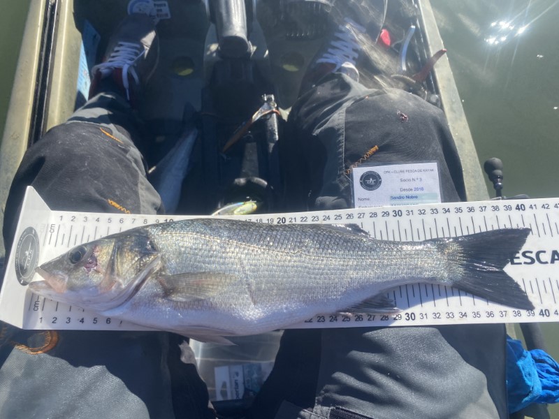 Fish Measure Picture