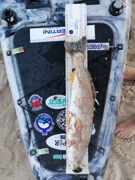 Fish Measure Picture