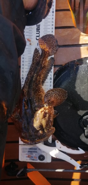 Fish Measure Picture
