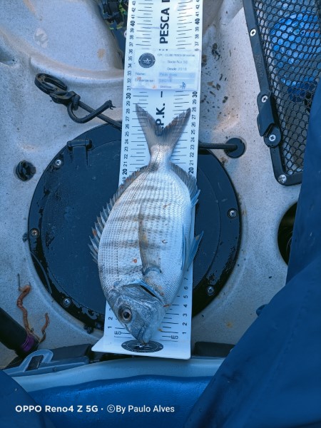 Fish Measure Picture