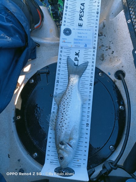 Fish Measure Picture
