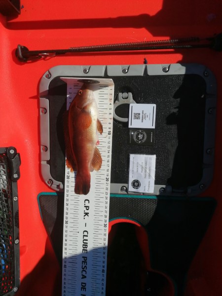 Fish Measure Picture