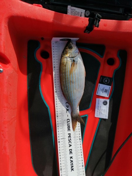 Fish Measure Picture
