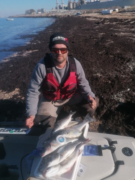 Fish Profile Picture