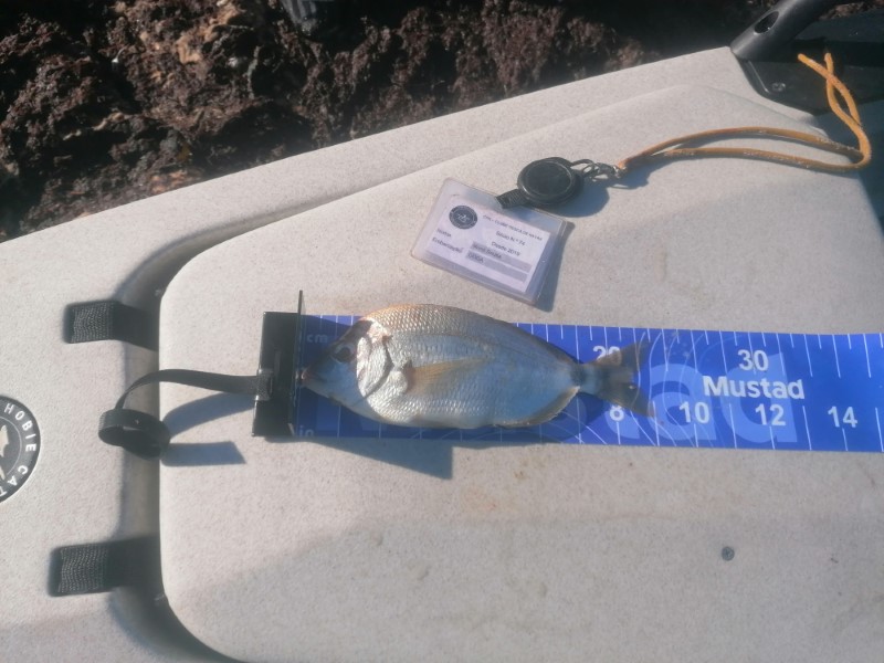 Fish Measure Picture