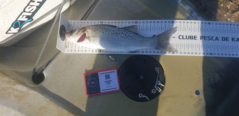 Fish Measure Picture