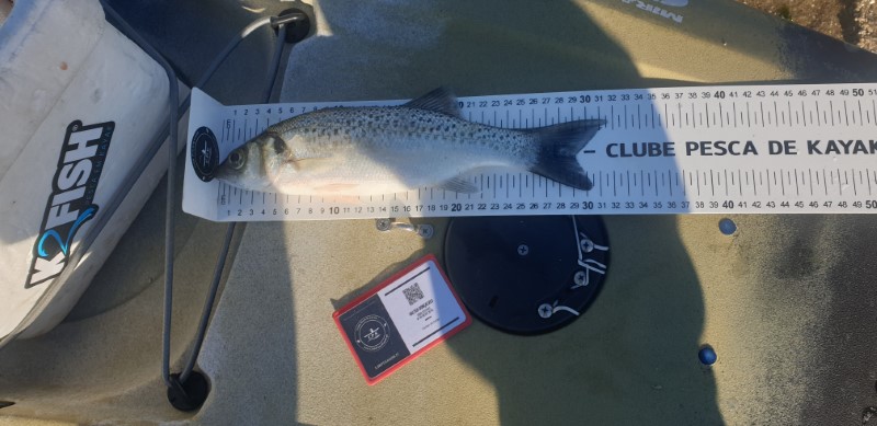 Fish Measure Picture