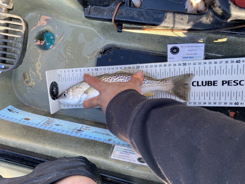 Fish Measure Picture