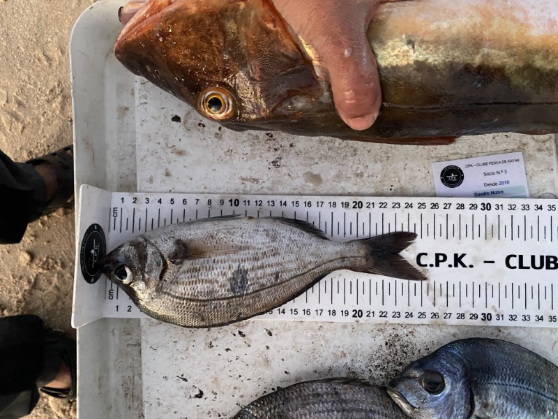 Fish Measure Picture