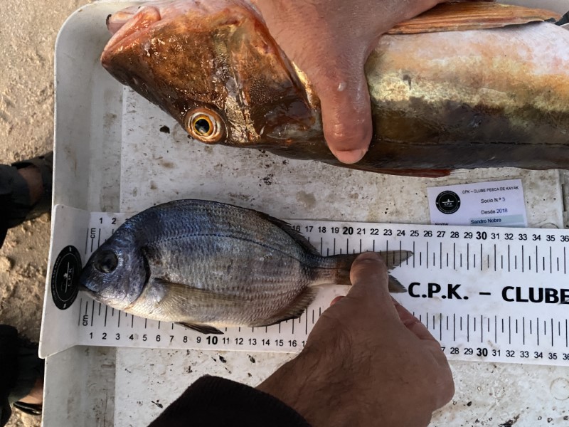 Fish Measure Picture
