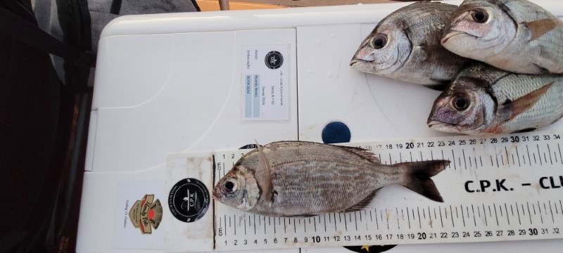 Fish Measure Picture