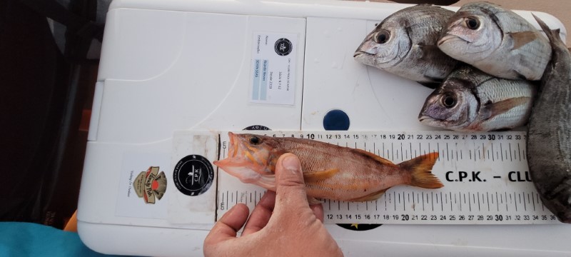 Fish Measure Picture