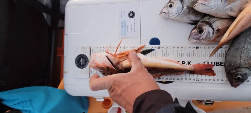 Fish Measure Picture