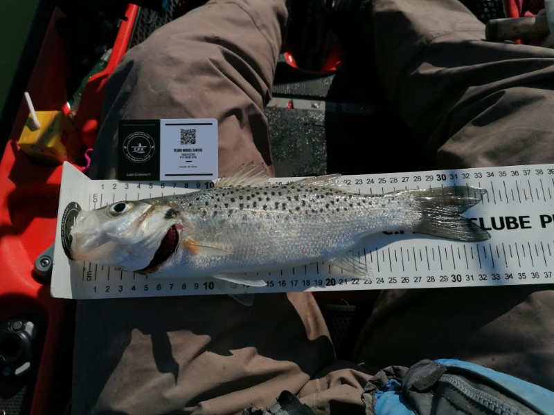 Fish Measure Picture
