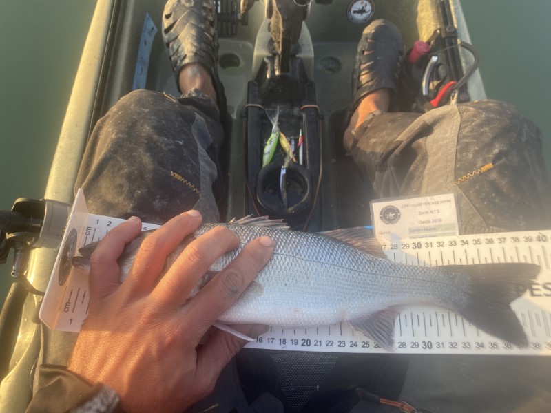 Fish Measure Picture