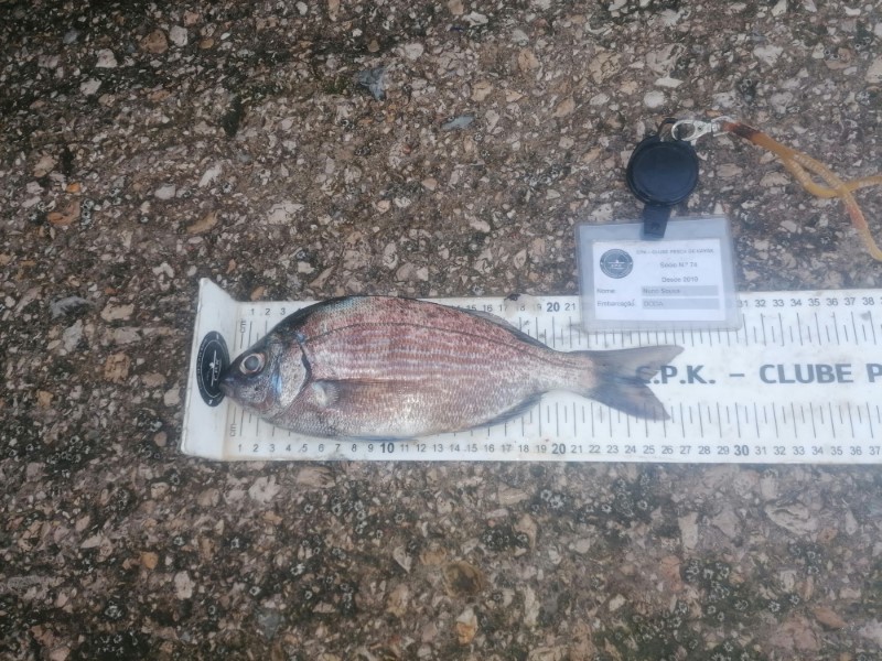 Fish Measure Picture