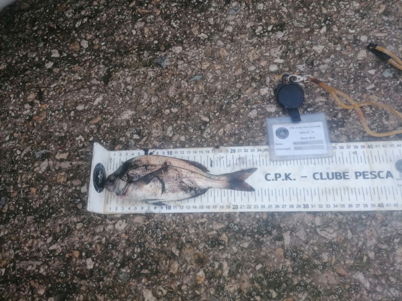 Fish Measure Picture