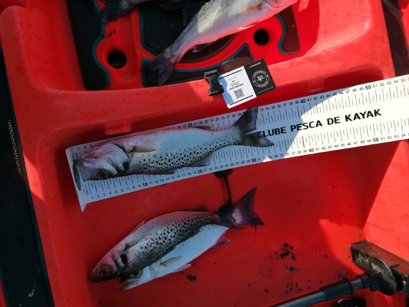 Fish Measure Picture