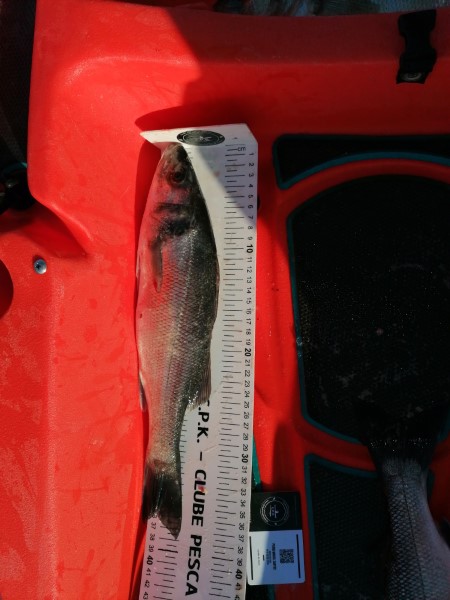 Fish Measure Picture