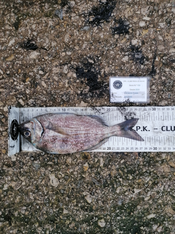 Fish Measure Picture