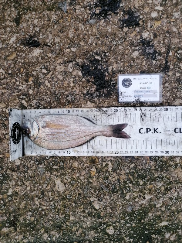 Fish Measure Picture