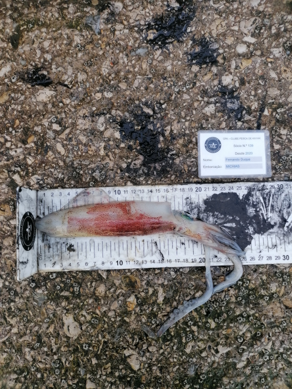 Fish Measure Picture