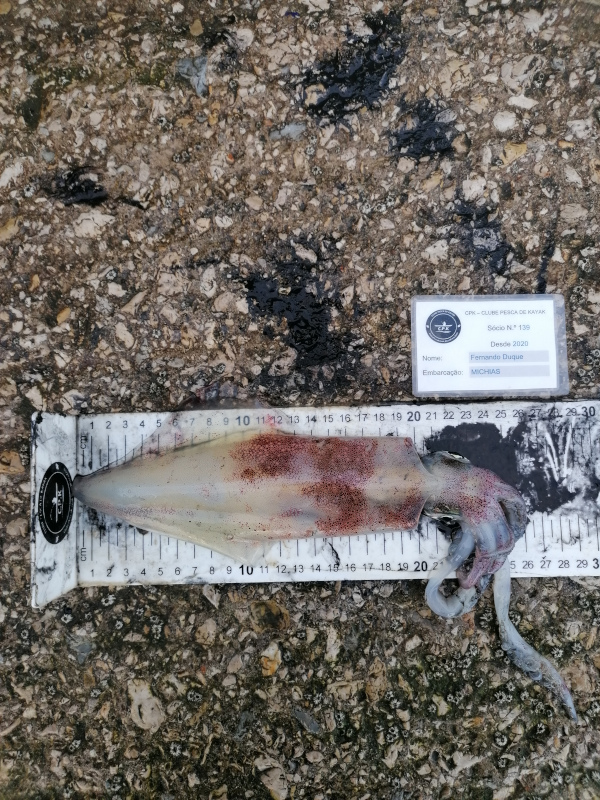 Fish Measure Picture