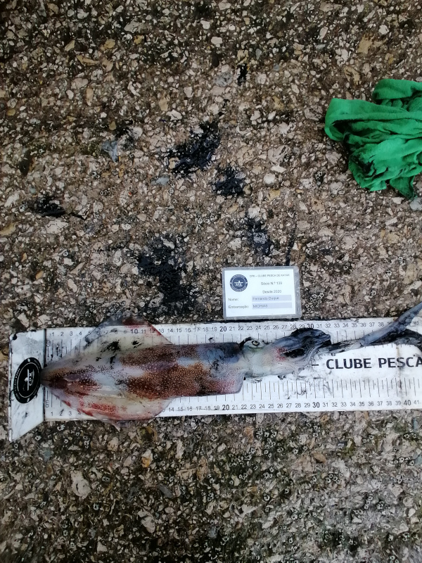 Fish Measure Picture
