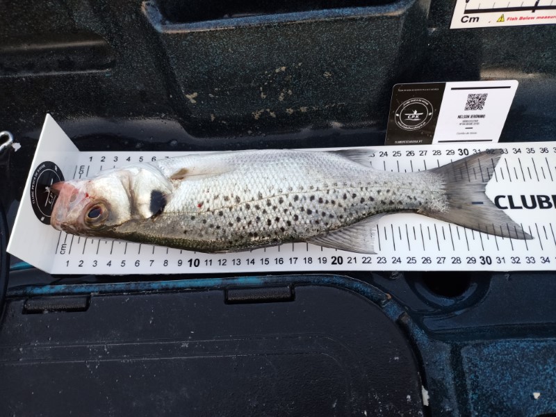 Fish Measure Picture