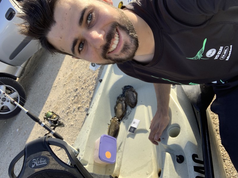 Fish Profile Picture
