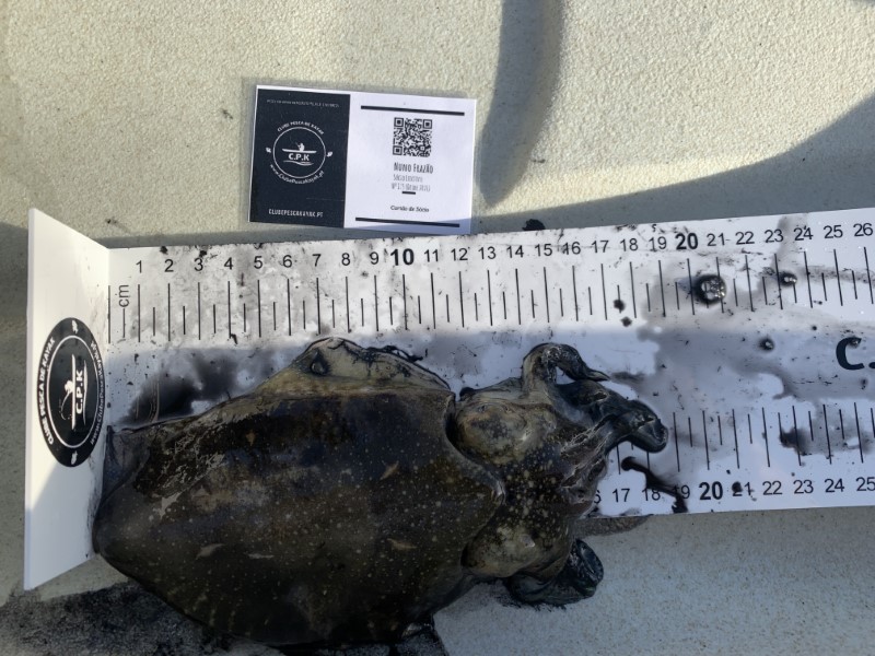 Fish Measure Picture