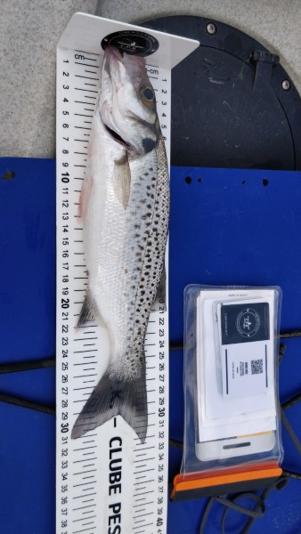 Fish Measure Picture