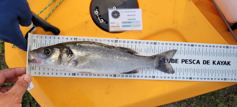 Fish Measure Picture