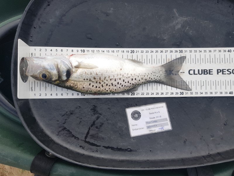 Fish Measure Picture