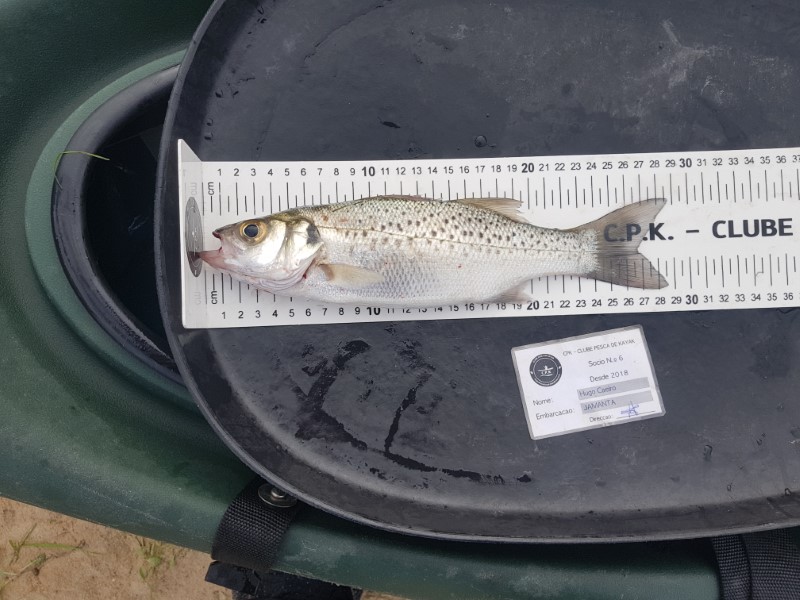Fish Measure Picture