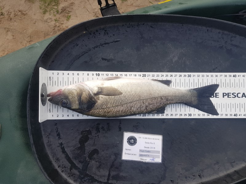 Fish Measure Picture