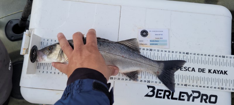 Fish Measure Picture