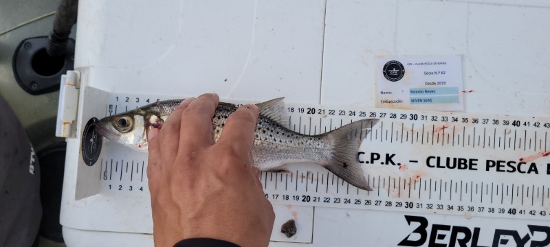 Fish Measure Picture