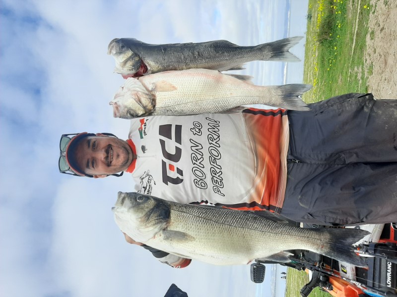 Fish Profile Picture